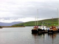 Irish Tours-Dingle Harbor