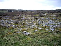 Irish Tours - Burren