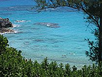 Bermuda Beaches - Church Bay Snorkeling