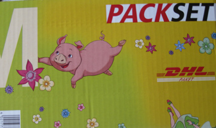 pig dhl courier package