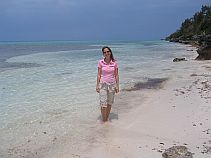 Bermuda Beaches - Hog Bay