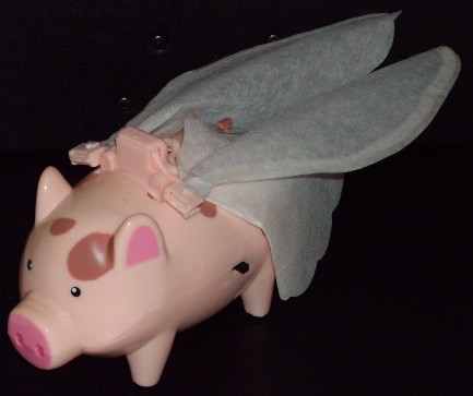 flying pig flying pig
