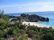  Bermuda Beaches - Cove