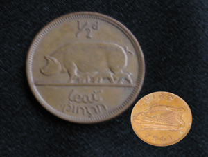 irish coin, irish pig coin, schweinemuenze, schweinegeld