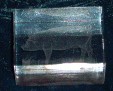 Laser Etched  Pig In Glass Block