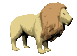 African Legends-Lion African Legends-Lion