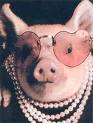 Famous Pigs-Noelle