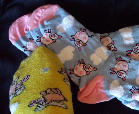 Pig Socks, Schweine Socken Pig Socks, Schweine Socken