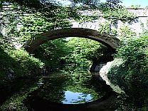 Royal Canal-Green Trees and Bridge