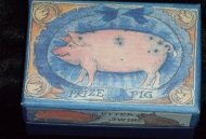 Pig Collections-Box Pig Collections-Box