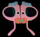 Pig Collections - Sunglasses Pig Collections - Sunglasses