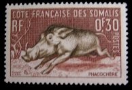 piggie stamp piggie stamp